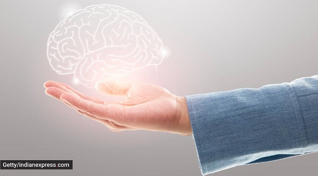 Նյարդային բջիջները չե՞ն վերականգնվում․ 12 առասպել գլխուղեղի մասին, որոնք հերքում է նյարդավիրաբույժը