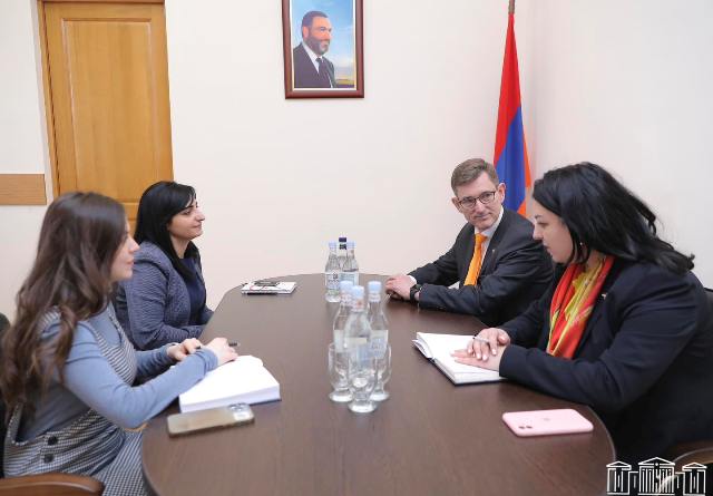 Դեսպանին ներկայացրի «ժողովրդավար» Հայաստանում մարդու իրավունքների խախտումները. Թագուհի Թովմասյան
