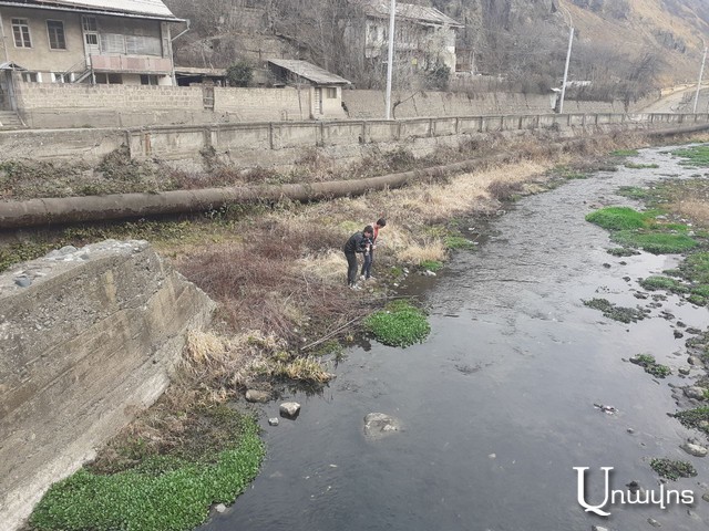 Ի՞նչն է Ողջի գետում ձկների անկման պատճառը (ֆոտոշարք, տեսանյութ)