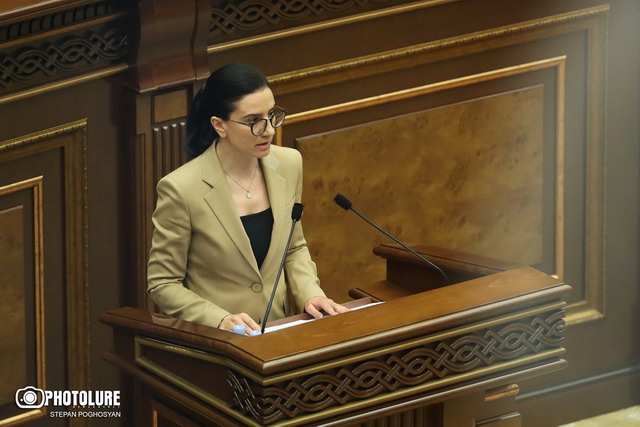«Մկրատի արյան հետքերը պատկանում են ոչ թե Վլադիմիր Վարդանյանին, այլ նրան, ում մոտից այն հայտնաբերվել է»․ Աննա Վարդապետյան