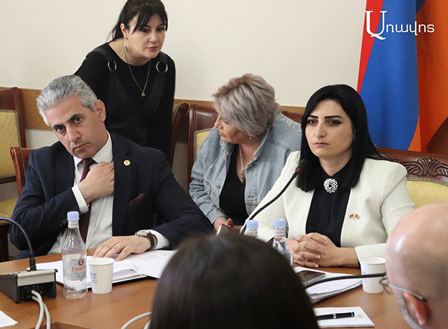 «Ես եմ մենակ կռիվ տվել եւ Էդգար Ղազարյանը»․ Թագուհի Թովմասյանը ներողություն է խնդրում հանրությունից