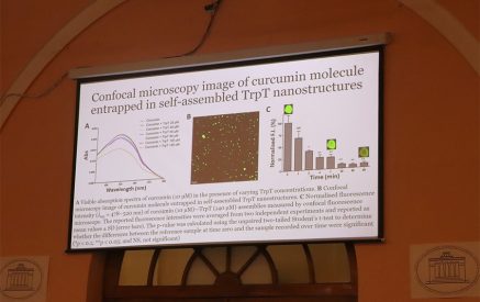 Հայ-իտալական գիտական համագործակցության շրջանակներում ուսումնասիրվում է կուրկումինով հագեցած նանոմասնիկների հակաքաղցկեղային հատկությունը