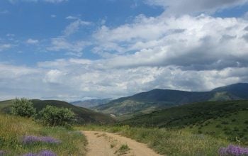 Առաջիկա հինգ օրվա եղանակի կանխատեսում