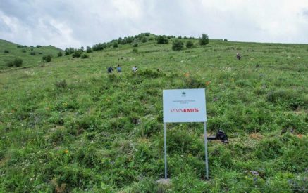 Լոռիում Վիվա-ՄՏՍ-ի աջակցությամբ 20 հազար ծառ է մուլչապատվել Գործընկերություն՝ Հայաստանի անտառածածկույթն ավելացնելու համար