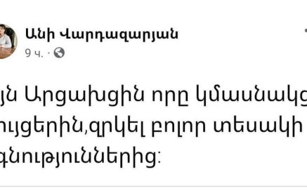 Մեր աջակցությանը զուգահեռ ձեր հրապարակում հայտնվելը, խառնվելը ներքին ներքաղաքական գործերին, հարված է մեզ թիկունքից․ Անի Վարդազարյան