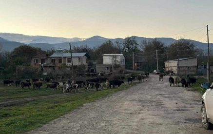 «Եթե թուրքը մտնի Գորիս, Երեւան չի գնա՞․ վախվխելով ապրում ենք, ղեկավարները ոչ մի բան չեն անում»․ կյանքը սահմանամերձ դարձած Հարթաշենում