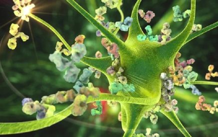 Քովիդ-19-ը մեծացնում է աուտոիմունային հիվանդությունների վտանգը․ նոր հետազոտություն