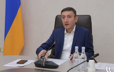 «Վրաստանից գալիս էի Հայաստան, ինձ 3 հոգի հորդորեցին բեռնախցիկը բացել». Թունյանը բողոքեց մաքսավորներից