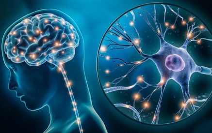 Ինչպես են տարբեր իրավիճակներն ու հիվանդություններն ազդում գլխուղեղի վրա