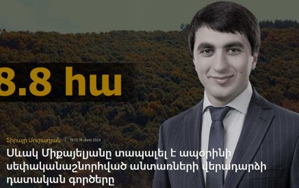 Սևակ Միքայելյանը տապալել է ապօրինի սեփականաշնորհված անտառների վերադարձի դատական գործերը. «Հետք»