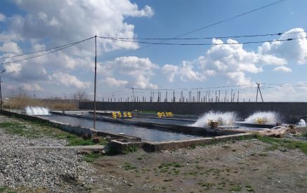 Վաղարշապատ համայնքում ձկնաբուծարանն ապօրինի ջրառ է իրականացրել