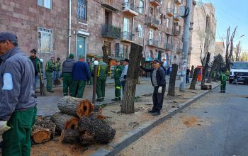 Սոցցանցերում հանդիպում ենք ահասարսուռ տեսարանների, թե ինչպես է Երեւանի կանաչ ֆոնդը վերանում. Տիգրան Ավինյանը հեգնեց