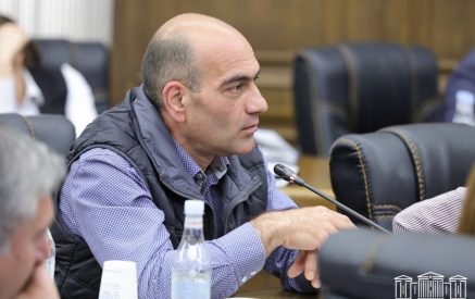 Այս իշխանությունը միայն խոսում է դիվերսիֆիկացիայի մասին և անում  ճիշտ հակառակը: Շարունակվում է բարձր կախվածությունը մեկ երկրից. Թադևոս Ավետիսյան. «Փաստ»