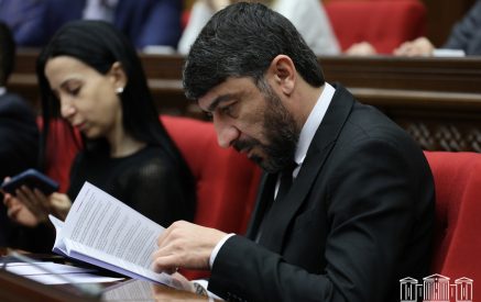 Ցանկացած պատգամավոր, որը ցանկություն կհայտնի, պատրաստ եմ նախագծերը տրամադրել իրեն, իրենց ամբողջ վերլուծական և հիմնավորումների բազայով. Վիլեն Գաբրիելյան