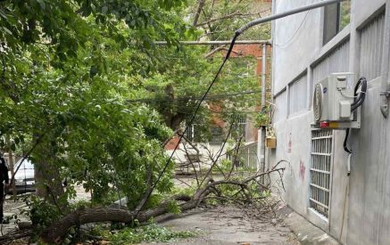 Քամու հետևանքով Երևանում կոտրվել են ծառեր, վնասվել տանիքներ