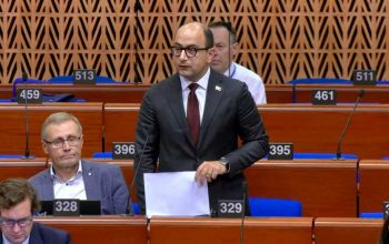 Դիմում եմ բոլոր նրանց, ովքեր մեզ թշնամի են համարում. դուք ձախողել եք՝ ես ողջ եմ. Հայկ Մամիջանյանի ելույթը ԵԽԽՎ լիագումար նիստին