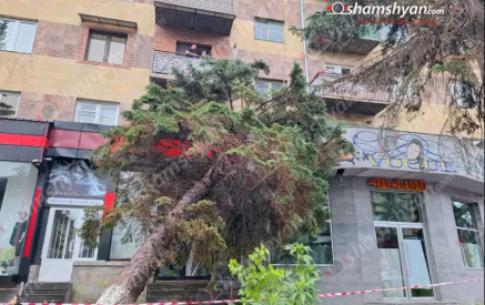 Արտակարգ իրավիճակ՝ Վանաձորում․ քամին տապալել է մեծ թվով հսկայական եղևնիներ․ ժամանել են փրկարարներ․ դեպքի վայրում են Լոռու մարզպետն ու ոստիկանապետը. shamshyan.com