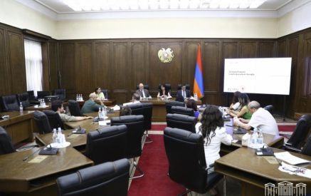 «Գրեթե ամբողջացված է վերջին լրամշակումներով». պատգամավորներին ներկայացվել է ՀՀ զբաղվածության 2024-2030 թթ. ռազմավարության նախագիծը