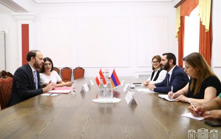 Բաքոյանը Նիկոլաուս Շերակին ներկայացրել է Ադրբեջանի կողմից իրականացված էթնիկ զտումների հետևանքով Լեռնային Ղարաբաղից տեղահանված հարյուր հազարավոր հայերի խախտված իրավունքների վերաբերյալ տեղեկատվություն