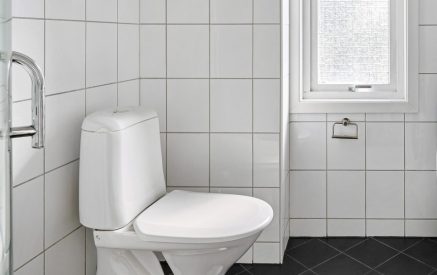 Քաղաքացուն ծեծել են, սափրել գլուխը, ստիպել, որ մերկանա և խոզանակով մաքրի զուգարանը, ապա ատամները. Shamshyan.com
