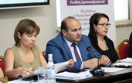 «Ծրագրով սահմանվում են 0-18 տարեկան բոլոր երեխաների իրավունքների պաշտպանության առանձնահատկությունները». Նարեկ Մկրտչյան