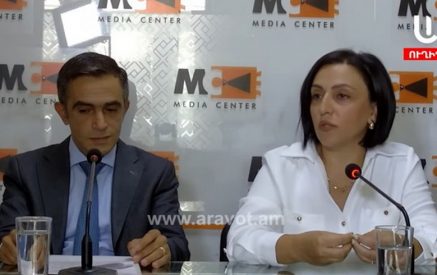 «Բնակչության մեծ մասն ունենալու է լուրջ խնդիրներ այնպես, ինչպես իրական շահառուներին հայտարարագրելու ժամանակ ունեինք»․ Էլեն Մանասերյան