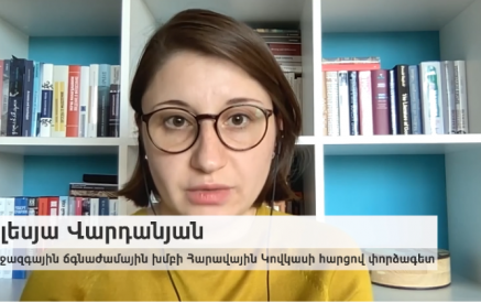 «Տեսանելի է, որ Հայաստանը պատրաստ է համաձայնել պայմանների, որոնց նպատակն այնքան էլ հստակ չէ». Օլեսյա Վարդանյան
