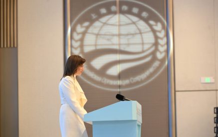 Դեռևս կան խտրականություն, բռնություն կանանց նկատմամբ և վնասակար կարծրատիպեր, որոնք խանգարում են կանանց իրացնել իրենց ողջ ներուժը. Աննա Հակոբյան