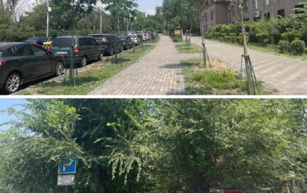 Երբ Երևանում զանգվածաբար հատում էին ծառերը, մենք զգուշացնում էինք ջրհեղեղների վտանգի մասին. Քրիստինա Վարդանյան
