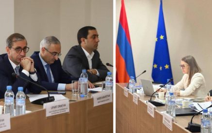 ԵԽ պատվիրակության հետ քննարկվել են ՄԻԵԴ վճիռների կատարման ընթացքն ու ձեռնարկվող միջոցները
