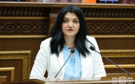 Ըստ Նանուշյանի՝ անհրաժեշտ է որոշ դասընթացներ պարտադիր դարձնել բուժաշխատողների համար