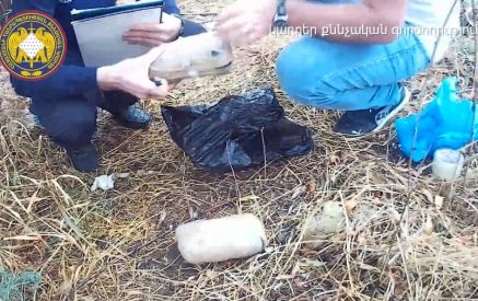 Շուրջ 10 կգ թմրամիջոցների ապօրինի շրջանառության դեպք է բացահայտվել․ 8 անձի մեղադրանք է ներկայացվել, որոնցից 5-ը կալանավորվել է