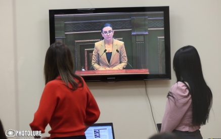 «Թմրամիջոցների դիմաց վճարումներն իրականացվում են ՀՀ տարածքում գործող կրիպտոարժույթի փոխանակմամբ զբաղվող անձանց միջոցով»․ Աննա Վարդապետյան