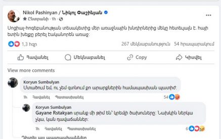 «Իսկ առվի ջրի ու գորտի աչքի պահով բան կա՞ անելու». արձագանք ՀՀ վարչապետի գրառմանը