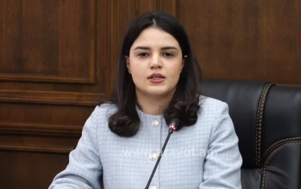 «Իշխանության ռադիկալ եւ ապօրինի որոշմամբ ավելի քան 120 հազար մարդու ՀՀ-ն դադարեց ճանաչել որպես սեփական քաղաքացի»․ Տաթեւիկ Սողոյան