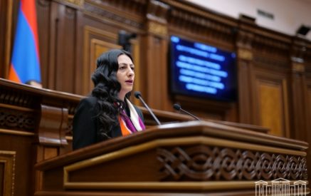 Երեխաներն ինձ հետ մեկնել են Ժնեւ եւ իրենց տեսանկյունից ներկայացրել Հայաստանում առկա խնդիրները. Անահիտ Մանասյան