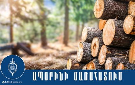 Գոգարանցին ապօրինի հատել է բարդի և սոճի տեսակի շուրջ 25 ծառ
