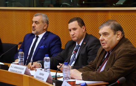 «Քողարկելով էթնիկ զտումը». Եվրոպական խորհրդարանում խորհրդաժողովի նպատակն էր Ադրբեջանում COP 29-ի անցկացմանն առնչվող խնդիրների վրա կենտրոնանալը