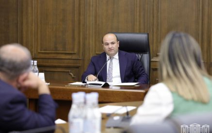 «Դիմելու տեմպը, բնականաբար, այդքան էլ գոհացուցիչ և բավարար չէ»․ Նարեկ Մկրտչյանը՝ արցախցիների՝ բնակապահովման հարցով