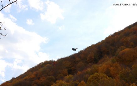 «Այն, ինչը հիմա անում ենք, վաղը մտնելու է առօրյա կյանքի յուրաքանչյուր ոլորտ». Կապանում անցկացվել է «Սյունյաց թևեր» փառատոն