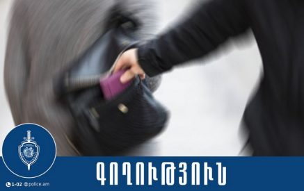 Վեդիի 30-ամյա բնակչուհին Երևանի խանութներից մեկում դրամապանակ էր գողացել