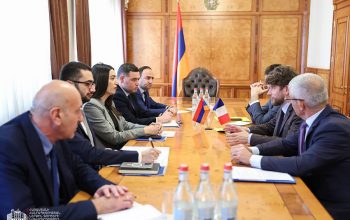 Ձեռք է բերվել համագործակցությունն ընդլայնելու պայմանավորվածություն. ՆԳ նախարարն ընդունել է Ֆրանսիայի արտակարգ և լիազոր դեսպանին
