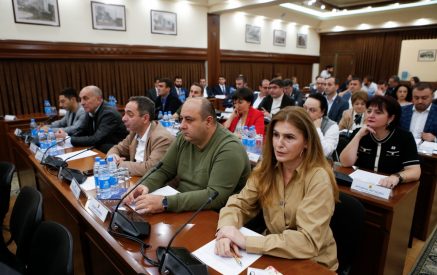 Երբ իմփիչմենթ կհայտնեն Տիգրան Ավինյանին. Իզաբելլա Աբգարյանի մեկնաբանությունը