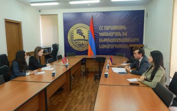 Հովհաննես Հարությունյանը և Նորվեգիայի փոխդեսպանը քննարկել են էներգետիկ ոլորտին վերաբերող հարցեր