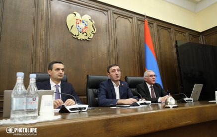 «Եթե փաստաթղթավորման դեպքում նույնիսկ հումքը թանկանա, կարող են դրա արդյունքում ոչ թե 5 տոկոս հարկ վճարել, այլ 1 կամ  2 տոկոս»․ ՊԵԿ փոխնախագահ
