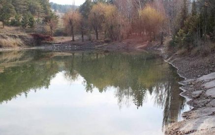 «Գնացի զբոսնելու Ջրվեժի անտառպուրակում եւ տեսա, թե ինչպես են բեռնատարները շինանյութը տանում ու լցնում այնտեղ»․ քաղաքացիներն ահազանգում են