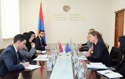 Աննա Կարապետյանը ԵԽ գործընկերներին է փոխանցել ԱՆ առաջնահերթությունները ներկայացնող փաստաթուղթ՝ համագործակցության առարկայական օրակարգեր մշակելու պայմանավորվածությամբ