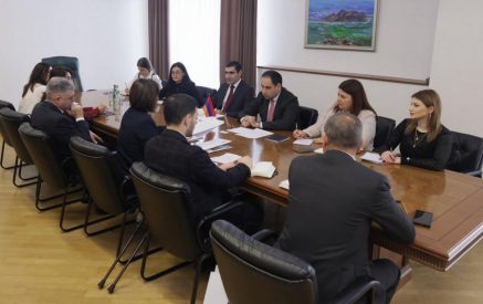 Ջրային ոլորտը կառավարության առաջանահերթություններից է. Նաթիա Նացվլիշվիլիի հետ հանդիպմանն ընդգծել է Խուդաթյանը
