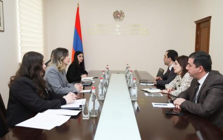 Գալյանը և Ավանեսյանը քննարկել են ազատազրկվածների՝ առողջական խնդիրներով պայմանավորված բողոքի դրսևորումների, այդ թվում հացադուլի, ինքնավնասումների խորքային պատճառները