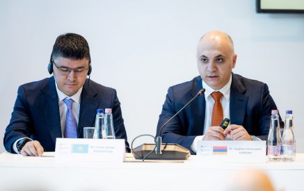 Էլեկտրաէներգիայի շուկայի ազատականացումը դրական ազդեցություն է ունեցել ՀՀ-ում մրցունակ և կայուն էներգետիկ ոլորտի ապահովման գործում. Գեղամ Գևորգյան